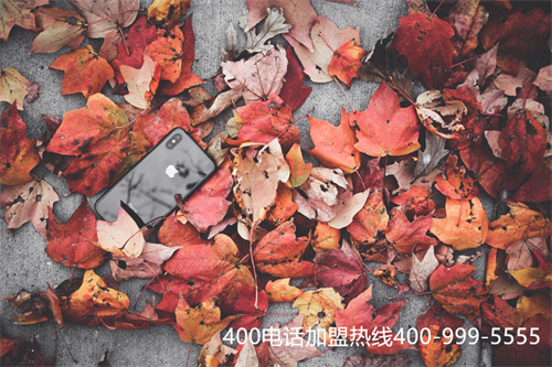 (400電話套餐)(400電話包月)